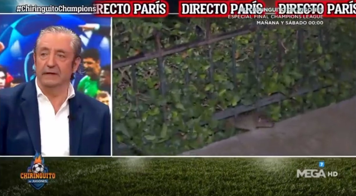 Champions League. Una rata obliga a un periodista español a interrumpir su vida en pleno París