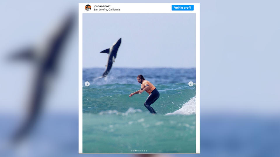 Dieses erschreckende Foto eines Weißen Hais, der hinter einen Surfer springt