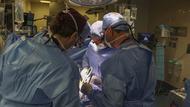 Le premier patient vivant à avoir reçu une greffe de rein de porc génétiquement modifié est décédé