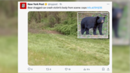 États-Unis : un homme meurt dans un accident de la route, les secours retrouvent son corps qui avait été mis à l'écart par un ours