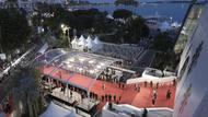 Festival de Cannes 2024 : les 3 règles à ne pas enfreindre lors de la montée des marches