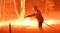 Comme ici en Australie, les flammes sont de plus en plus violentes dans le monde
