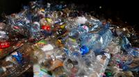 Des bouteilles en plastique prêtent à être recyclées. 