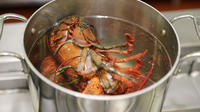 Les homards sont "fumés" au cannabis avant de les cuire dans l'eau bouillante