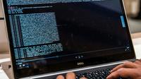 L'une des plus importantes plateformes illégales actives en France sur le "dark web" a été démantelée à l'issue d'une opération "hors norme" menée par les douanes, annoncée le 16 juin 2018 [PHILIPPE HUGUEN / AFP/Archives]