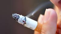 Le tabac d'abord, puis l'alcool, une mauvaise alimentation, et enfin l'obésité sont les quatre facteurs principaux en France des 40% de cancers qui seraient "évitables" [ERIC FEFERBERG / AFP/Archives]