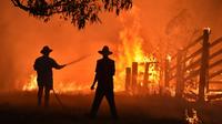 Des habitants tentent d'éteindre un feu de broussailles près de Taree, à 350 km au nord de Sydney, le 12 novembre 2019 [PETER PARKS / AFP]