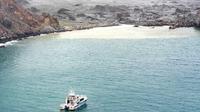 Des plongeurs recherchent samedi 14 décembre des corps de victimes de l'éruption d'un volcan sur White Island, une île néo-zélandaise [Handout / NEW ZEALAND DEFENCE FORCE/AFP]