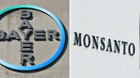 Les logos des entreprises Bayer et Monsanto [Patrik STOLLARZ, John THYS / AFP/Archives]