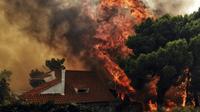 Une maison menacée par les flammes à Kineta près d'Athènes le 23 juillet 2018 [VALERIE GACHE / AFP]