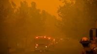 Les pompiers combattent le Kincade Fire à Windsor, au nord de la Californie, le 27 octobre 2019 [Philip Pacheco / AFP]
