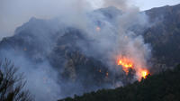 Une série d'incendies, attisés par des vents violents allant jusqu'à 90km/h sur l'île de Beauté, a dévasté 1.500 hectares de végétation en 24 heures.