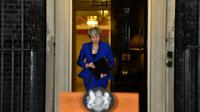 Theresa May, le 16 janvier 2019 à Londres [Ben STANSALL / AFP/Archives]