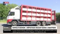 Côtes-d'Armor : 69 cas de Covid-19 détectés dans un abattoir