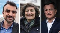 Grégory Doucet (EELV, Lyon), Jeanne Barseghian (EELV, Strasbourg) et Louis Aliot (RN, Perpignan) font partie des nouveaux maires à suivre. 