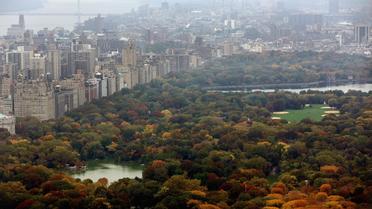 Vue générale de Central Park à New York [Mario Tama / Getty Images/AFP/Archives]