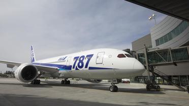 Un Boeing 787 "Dreamliner" à l'aéroport de Washington [Stephen Brashear / Getty Images/AFP/Archives]