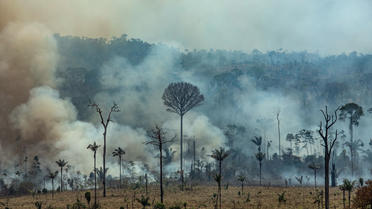 4.000 nouveaux départs de feu au Brésil depuis l'interdiction des brûlis agricoles.