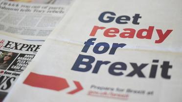 Le gouvernement britannique a lancé une vaste campagne d'information exhortant les citoyens et les entreprises à se préparer au Brexit. 