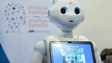 Le visage du candidat sélectionné sera reproduit sur des milliers de robots. 