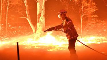 Comme ici en Australie, les flammes sont de plus en plus violentes dans le monde