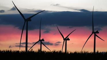 L'éolien et le solaire ont produit 21 % de l'électricité européenne au premier semestre, un niveau inédit. 
