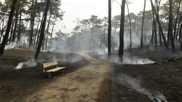 La majorité des feux de forêts sont causés par l'activité humaine. 