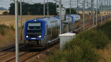 Un train express régional (TER) en circulation [Mychele Daniau / AFP/Archives]