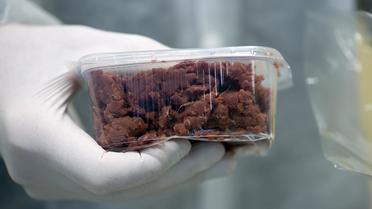 Un échantillon de viande dans un laboratoire d'analyses à Berlin le 19 février 2013 [Johannes Eisele / AFP/Archives]