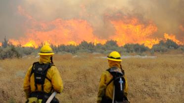 L'état d'urgence a été déclaré mercredi dans le nord de la Californie (ouest des Etats-Unis), ravagé par plusieurs incendies, alors que plusieurs autres Etats de l'Ouest américain, comme Washington, l'Idaho et le Montana, luttent aussi contre les flammes, selon les autorités.[GETTY IMAGES NORTH AMERICA]