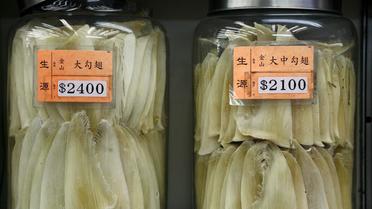 Des ailerons de requins déshydratés dans des bocaux, à Hong Kong [Anne Cecile Guthmann / AFP/Archives]