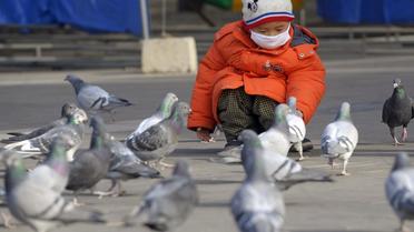 Un enfant nourrit des pigeons à Pékin, en janvier 2009 [Liu Jin / AFP/Archives]