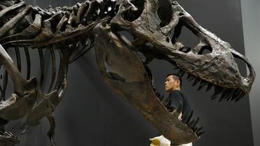 Un trésor de la préhistoire, 5,3 tonnes d'os de tyrannosaure fossilisés, a déclenché une querelle à Madagascar, le ministère de la Culture ayant fait intervenir sa brigade anti-piratage pour saisir les vestiges et les soustraire à l'expédition américano-malgache travaillant sur la découverte.[AFP]