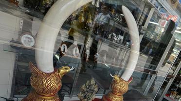 Des défenses d'éléphants vendues dans un magasin de Bangkok, le 28 février 2013 [Pornchai Kittiwongsakul / AFP]