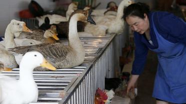 Une vendeuse de volaille nourrit ses poulets et ses canards le 16 avril 2013 au marché de Guiyang [ / AFP]