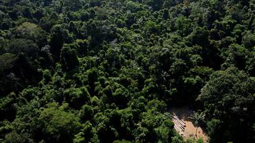 Vue aérienne d'un site illégal d'exctraction de bois au Brésil [Lunae Parracho / AFP/Archives]