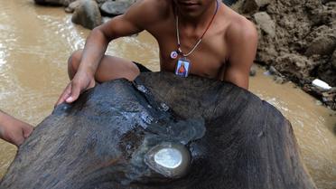Un homme montre du mercure utilisé par les chercheurs d'or et récupéré dans une rivière du Honduras [Orlando Sierra / AFP/Archives]