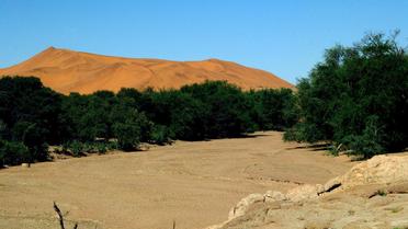 Le désert du Namib [ / AFP/Archives]