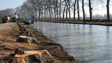 Le Canal du Midi, le 1er mars 2012 à Villeneuve-les-Béziers [Pascal Guyot / AFP/Archives]