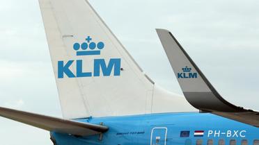 Les avions de la compagnie KLM, le 21 juin 2012 à l'aéroport de Roissy [Jacques Demarthon / AFP/Archives]