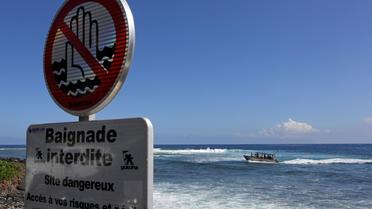 Un pharmacien de 55 ans, délégué de la Fondation Brigitte Bardot à La Réunion, va nager dimanche pendant deux heures et demie sur les lieux des attaques de requin pour dénoncer la "propagande outrancière de certains groupes de pression" sur les dangers qu'il représente.[AFP]