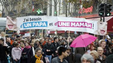 Manifestation contre le mariage homosexuel, le 17 novembre 2012 à Paris [Pierre Verdy / AFP]