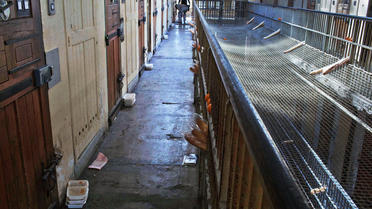 Photo transmise par le Contrôleur général des lieux de privation de liberté montrant une distribution de repas le 16 octobre 2012 à la prison des Baumettes à Marseille [Gregoire Korganow / CGPL/AFP/Archives]