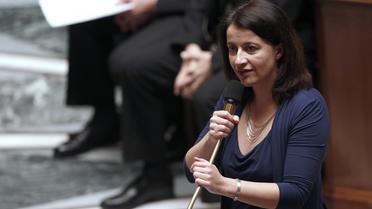 Cécile Duflot, ministre du Logement, le 19 décembre 2012 à l'Assemblée nationale à Paris [Francois Guillot / AFP/Archives]