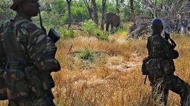 Des gardes anti-braconnage surveillent un éléphant dans une réserve au nord de Nairobi, au Kenya, le 4 février 2013 [Tony Karumba / AFP/Archives]