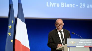 Le ministre de la Défense Jean-Yves Le Drian lors de la présentation du Livre blanc pour l'armée, le 29 avril 2013 à Paris [Bertrand Guay / AFP/Archives]