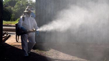 Un employé des autorités sanitaires brésiliennes diffuse un pesticide contre le moustique porteur du virus Zika.