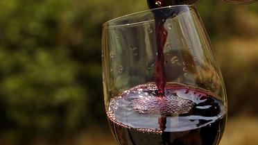 Certains vignobles subissent les conséquences des feux en Australie, avec une dégradation du goût de leurs vins. 
