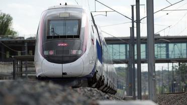 Malgré le freinage d’urgence du train qui reliait Besançon à Dijon, le conducteur du train n’a pas pu l’éviter.