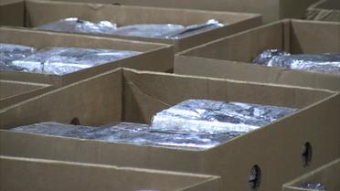 Huit tonnes de cocaïne était dissimulée dans un conteneur de bananes en provenance de l'Equateur.